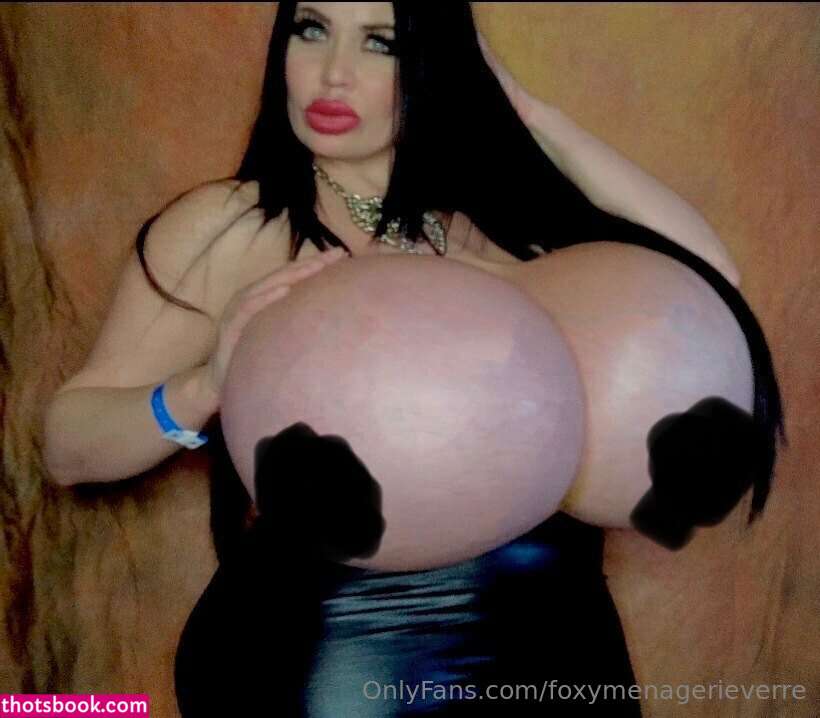 Foxy Menagerie Verre Photo #60