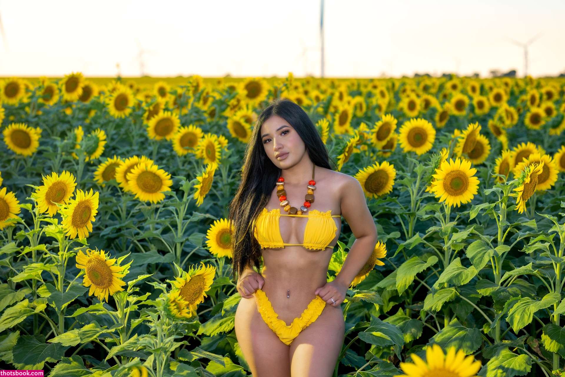 Americabarr Photo #1