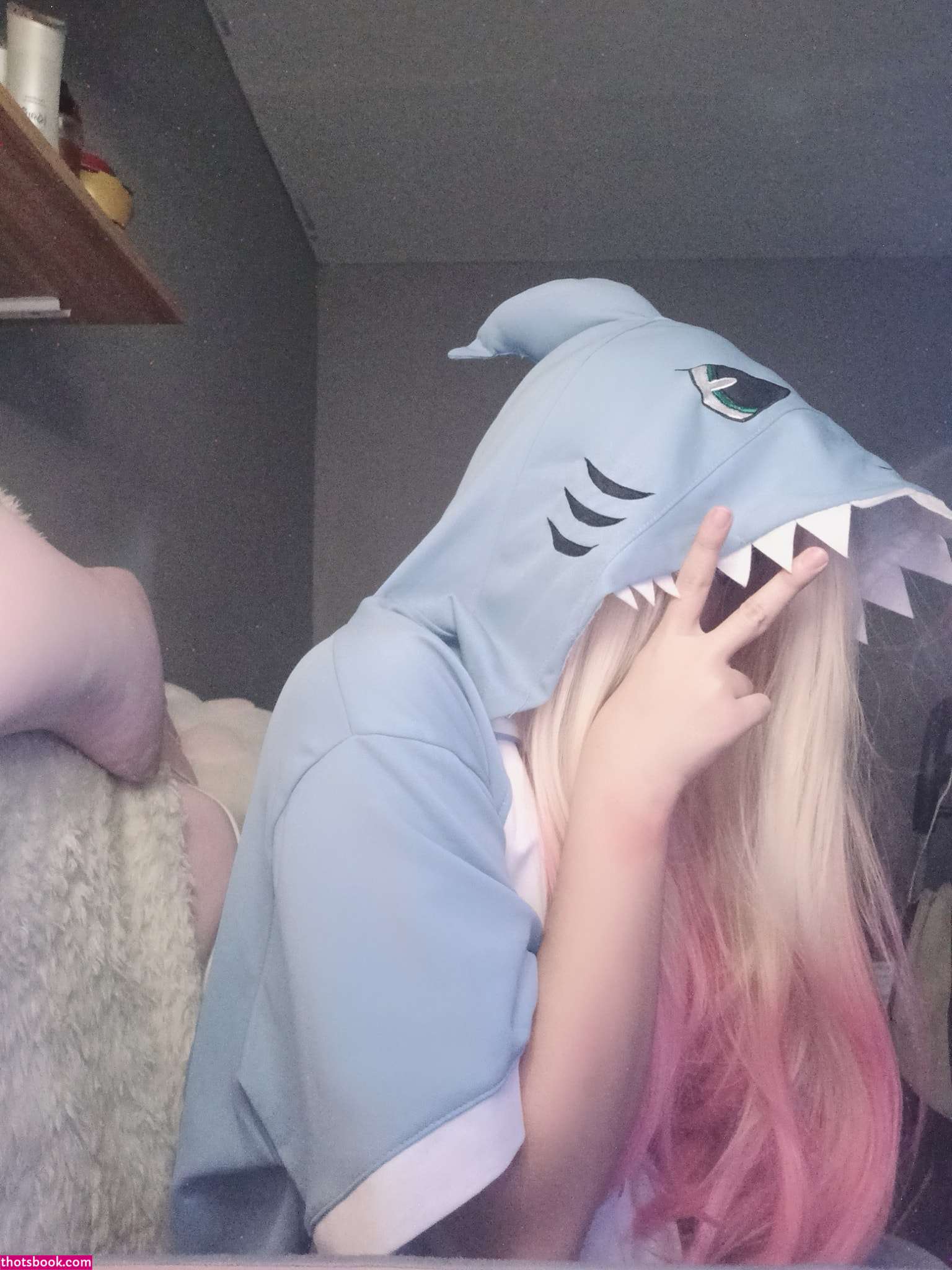 Risanomsyu Photo #121