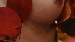 Nemmyhorin Photo #61