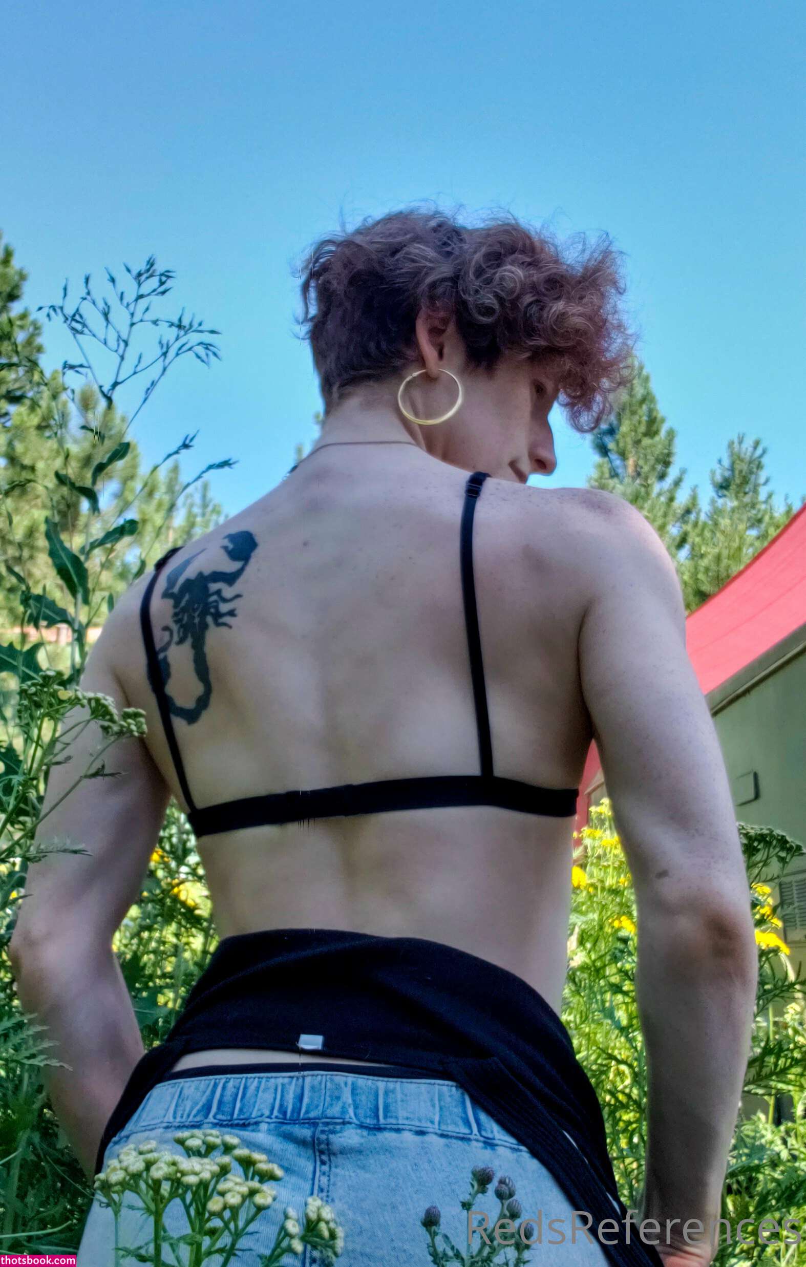 Redsreferences Photo #10