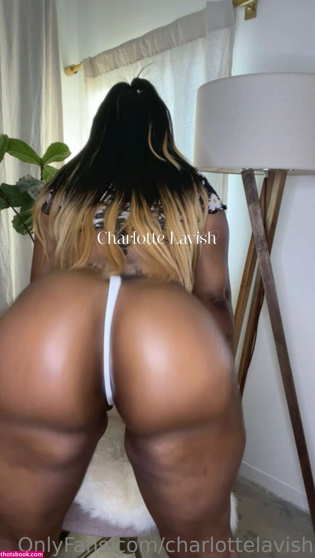 Charlotte Lavish Photo #6