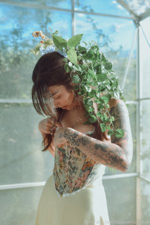 Dallas Maxwell Photo #43