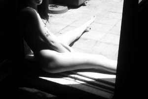 Arils Chest Photo #28