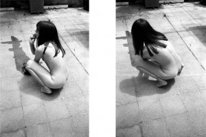 Arils Chest Photo #94