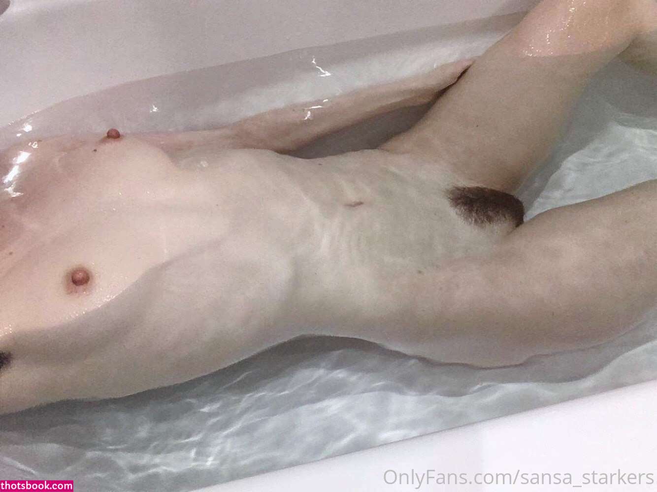 Sansa Starkers Photo #44