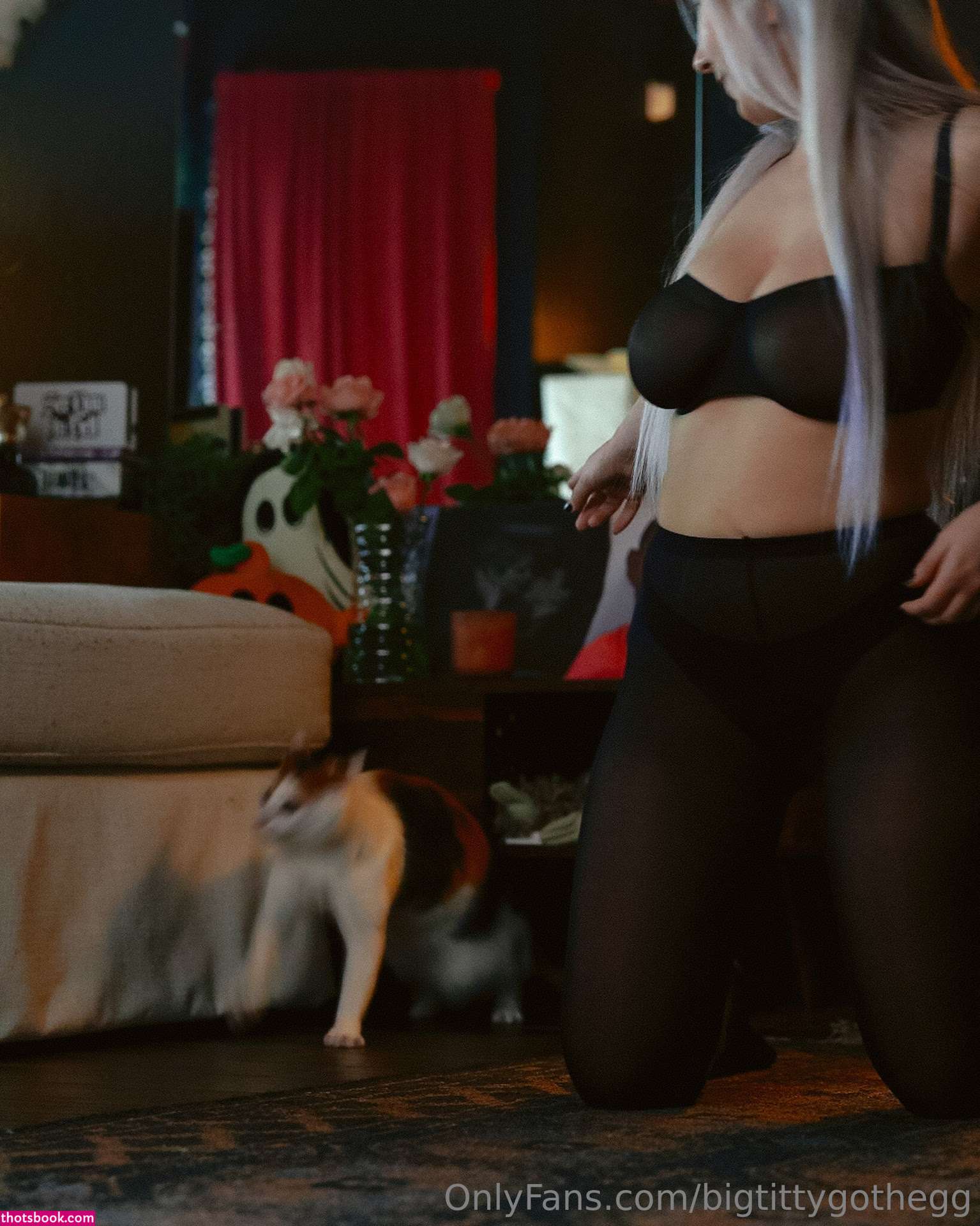 Bigtittygothegg Photo #609