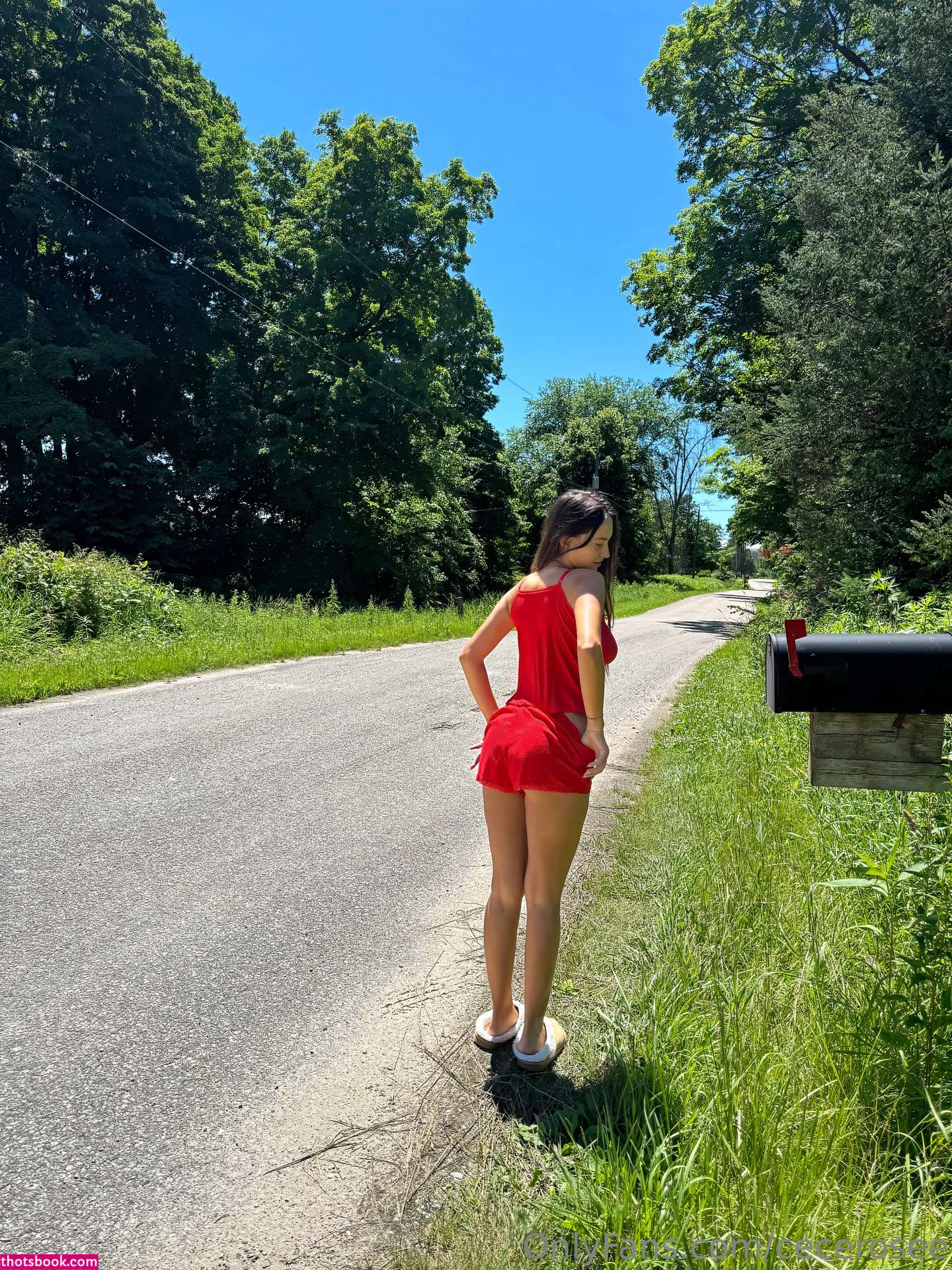 Cece Rose Photo #477