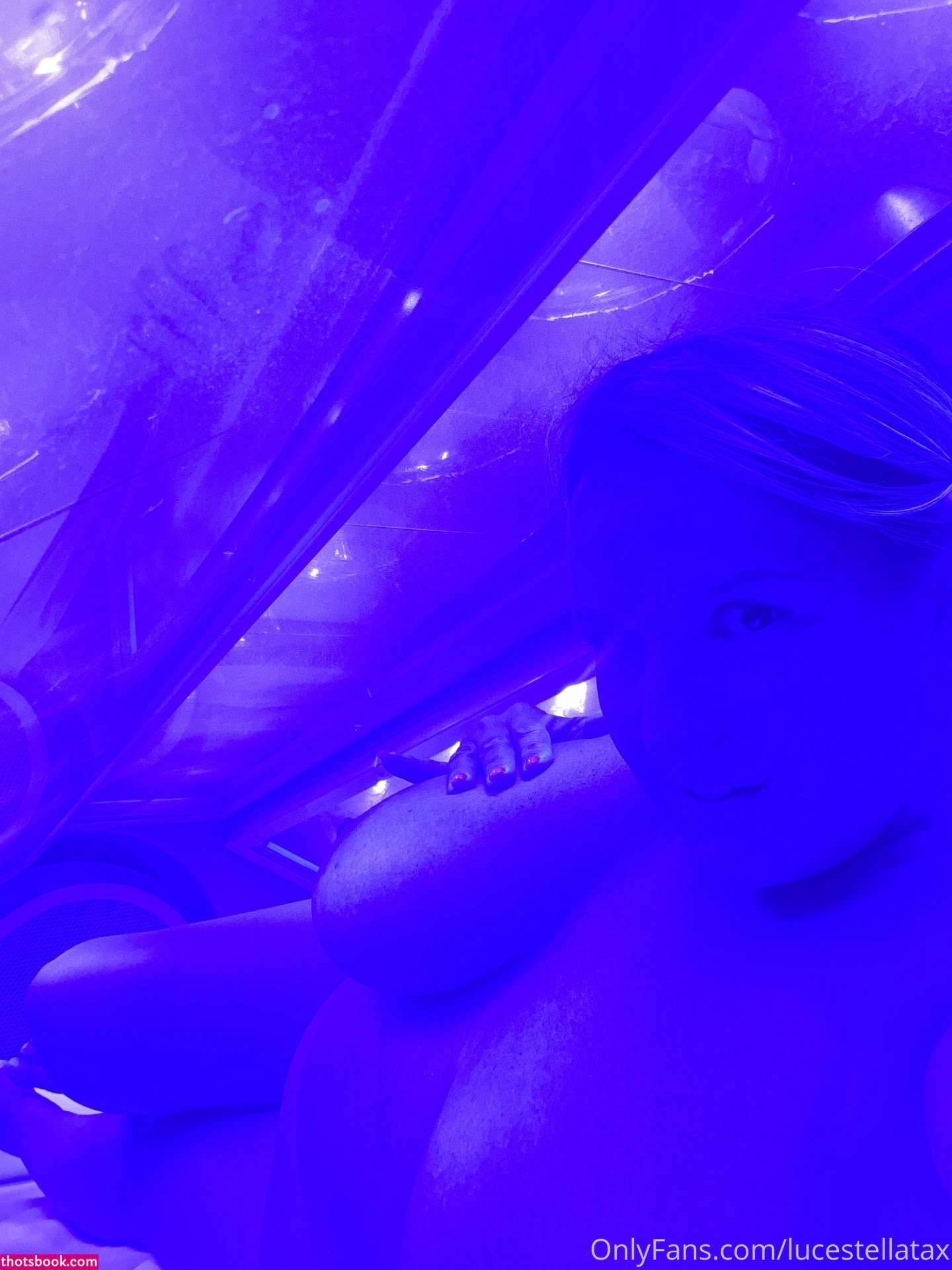 lucestellata Photo #87