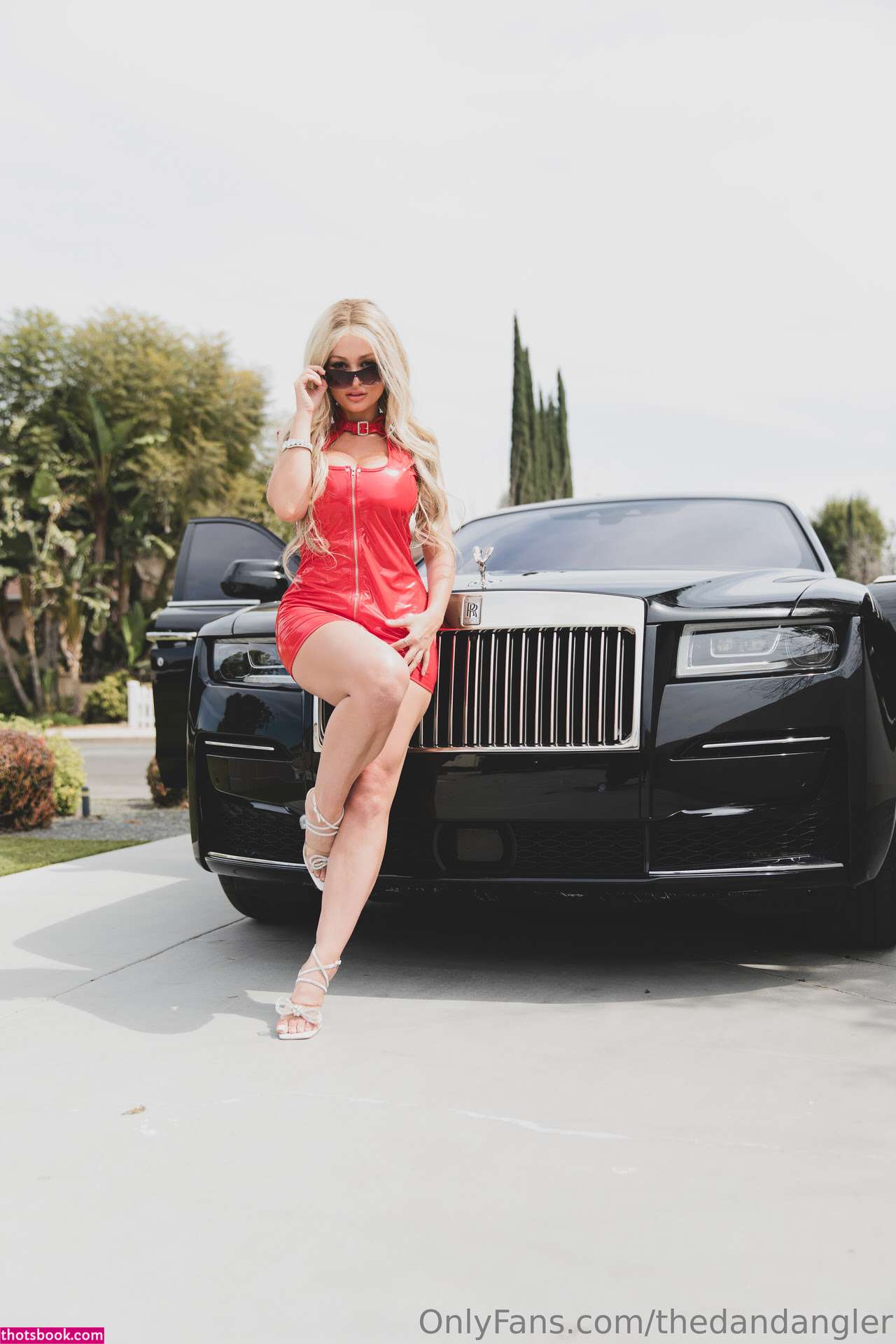 Thedandangler Photo #189