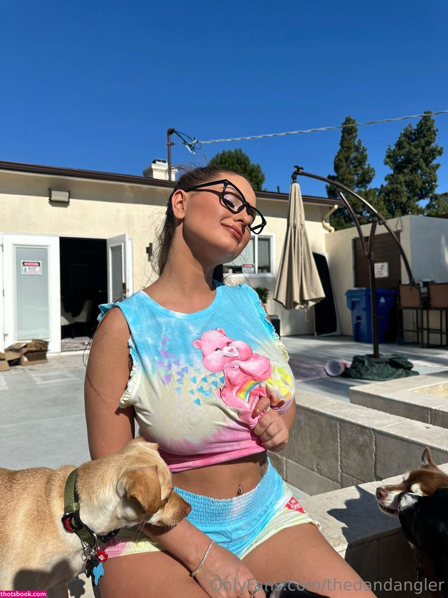 Thedandangler Photo #263