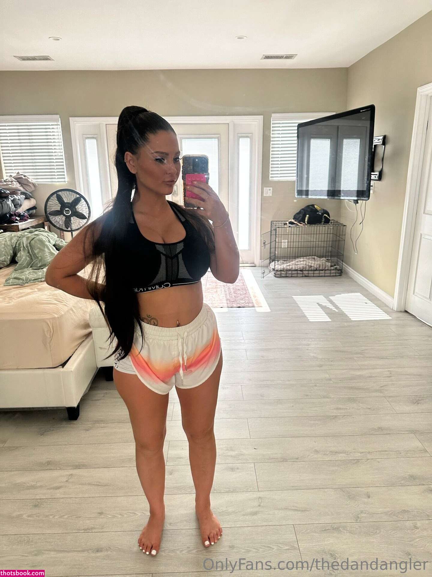 Thedandangler Photo #277