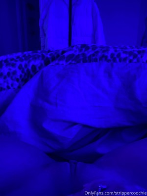 Mel Farahmand Photo #17