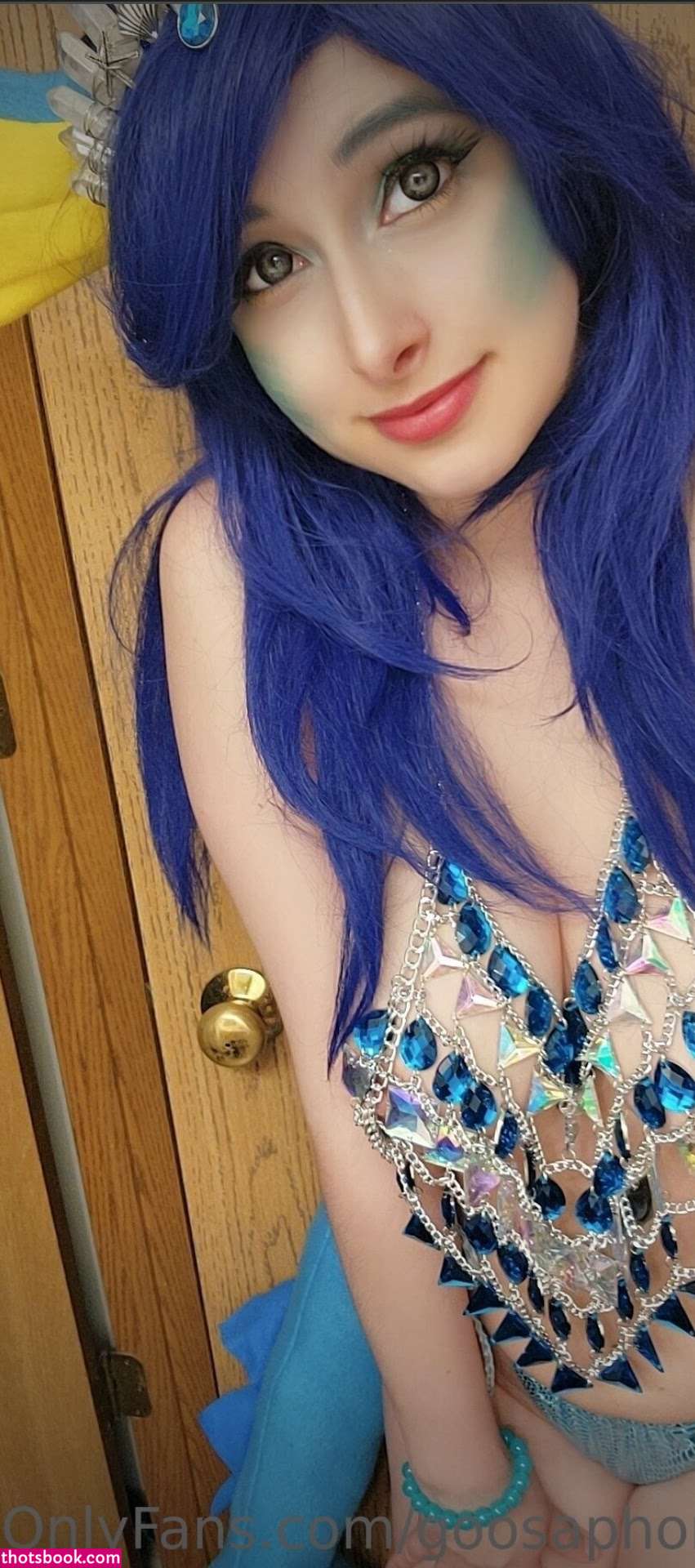 Goosaphone Photo #165