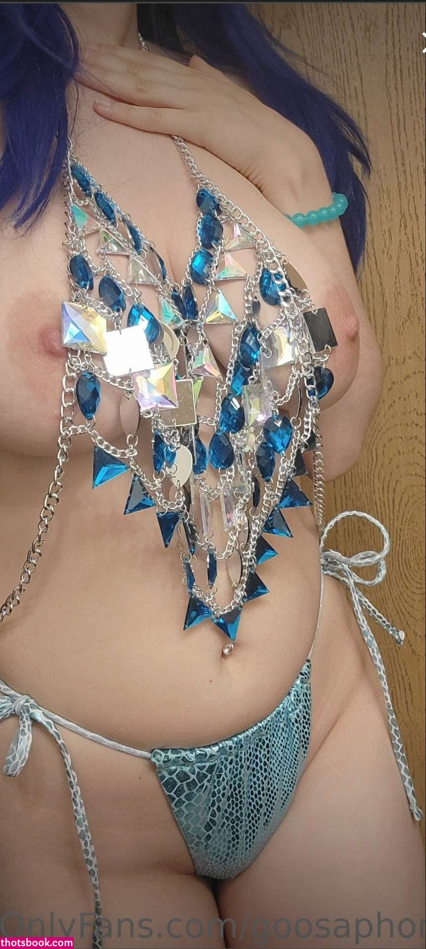 Goosaphone Photo #174