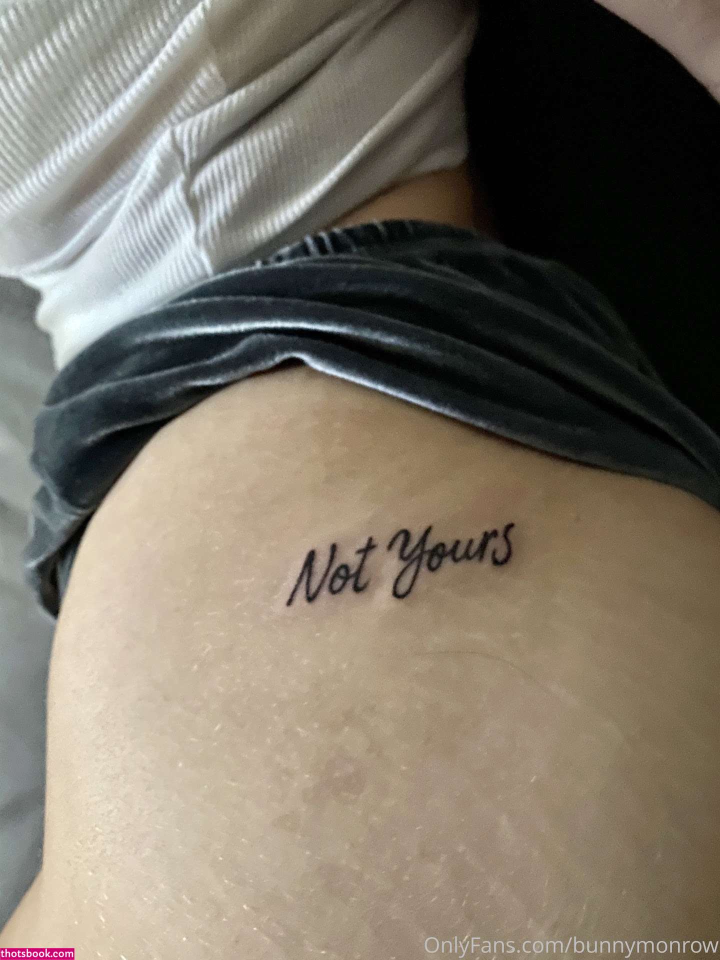 Bunnymonrow Photo #55