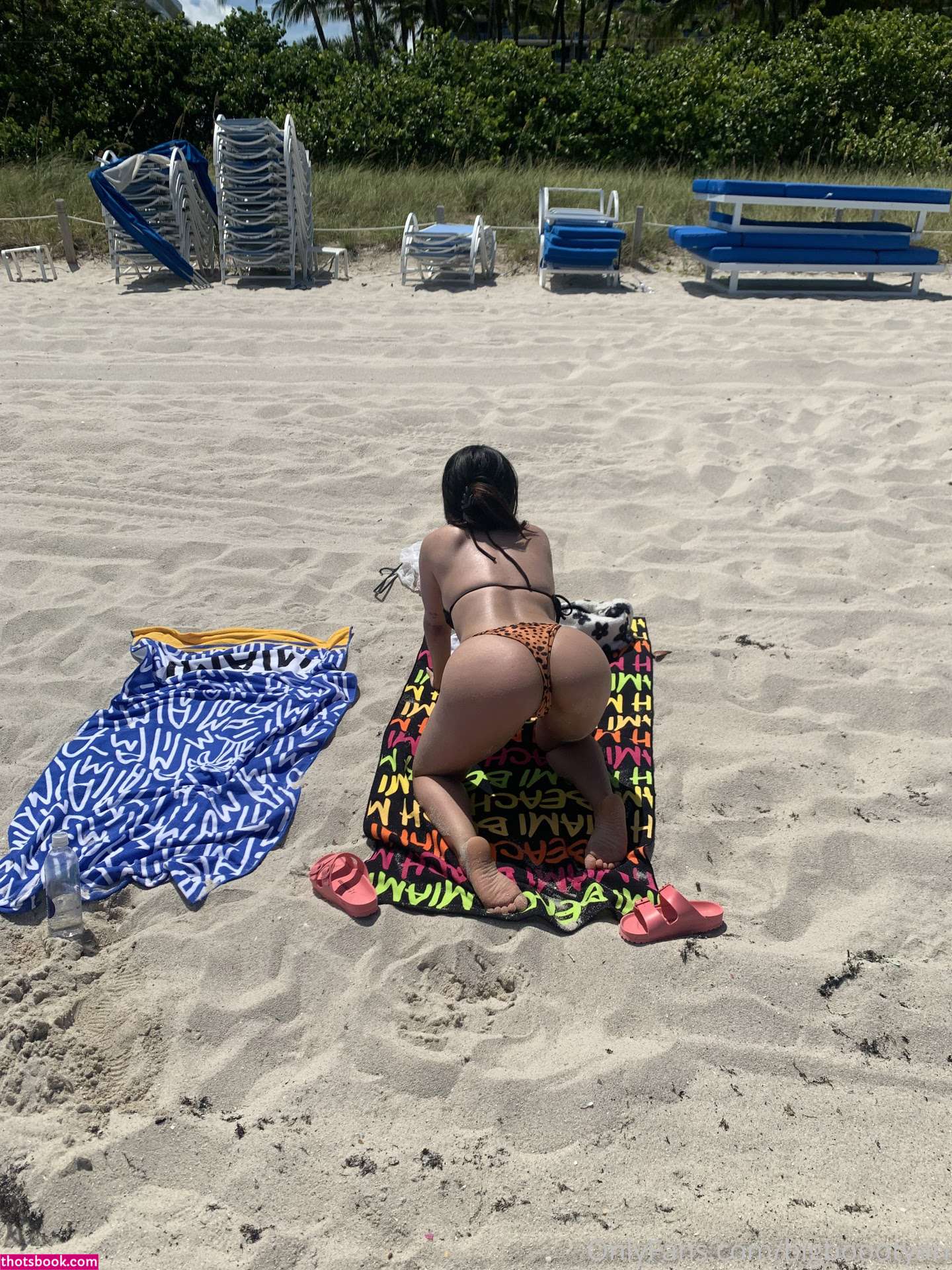 bigboootyari Photo #74