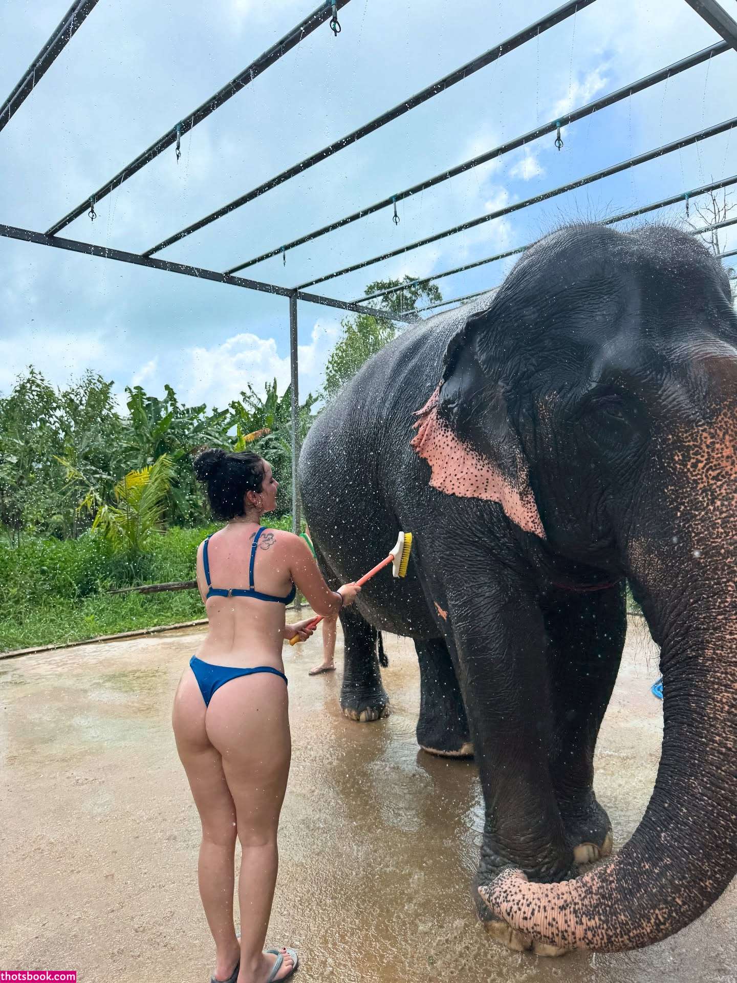 Hotblockchain Photo #69