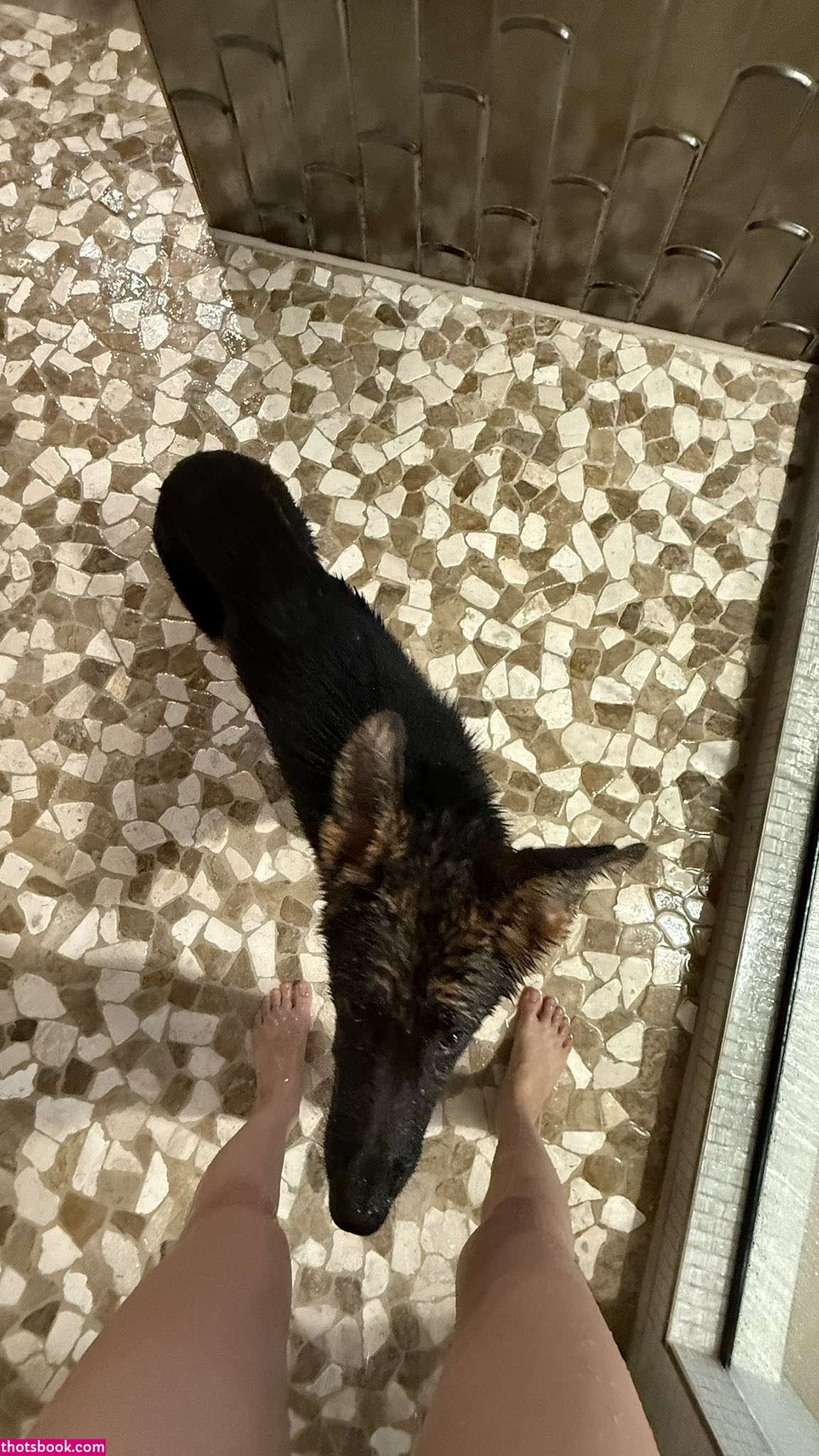 Caryn Marjorie Photo #287