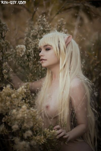 Creator Photo #7718