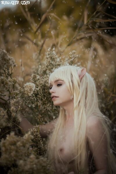 Creator Photo #7736