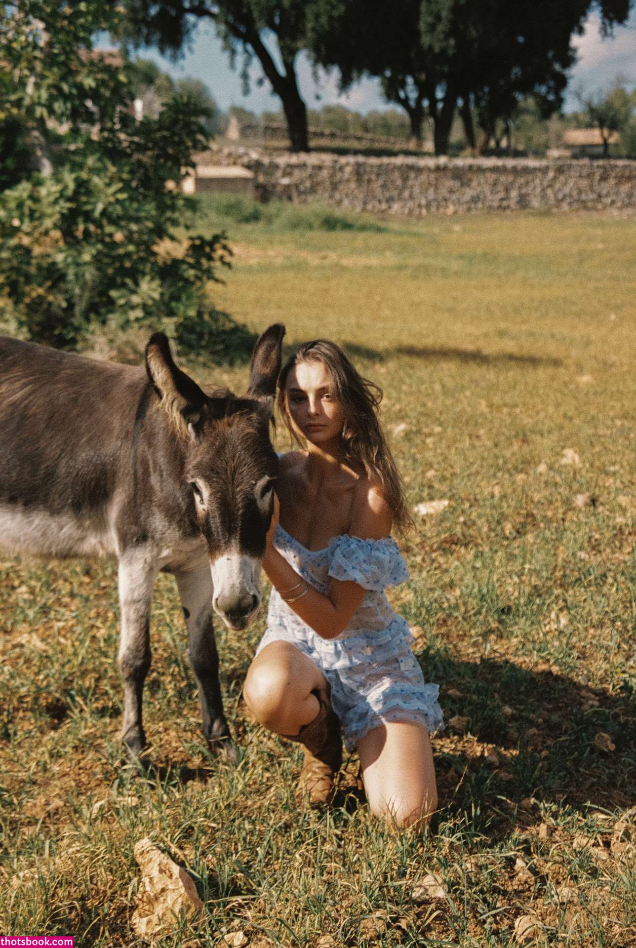 Series Magazine Photo #267