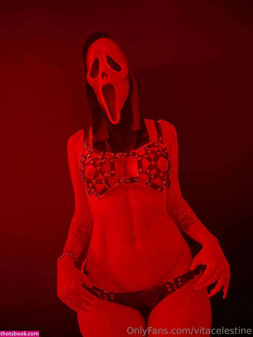 Vitacelestine Photo #60