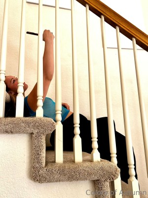 colorsofautumn Photo #116