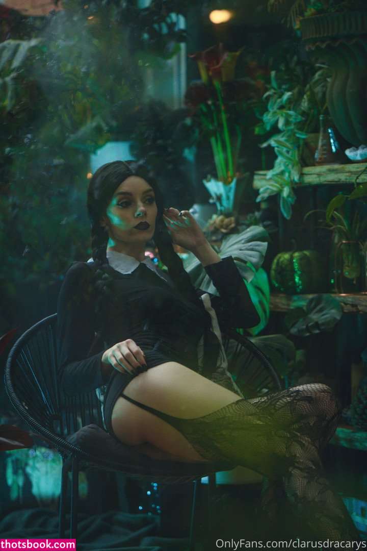 Clarus Polaris Photo #211