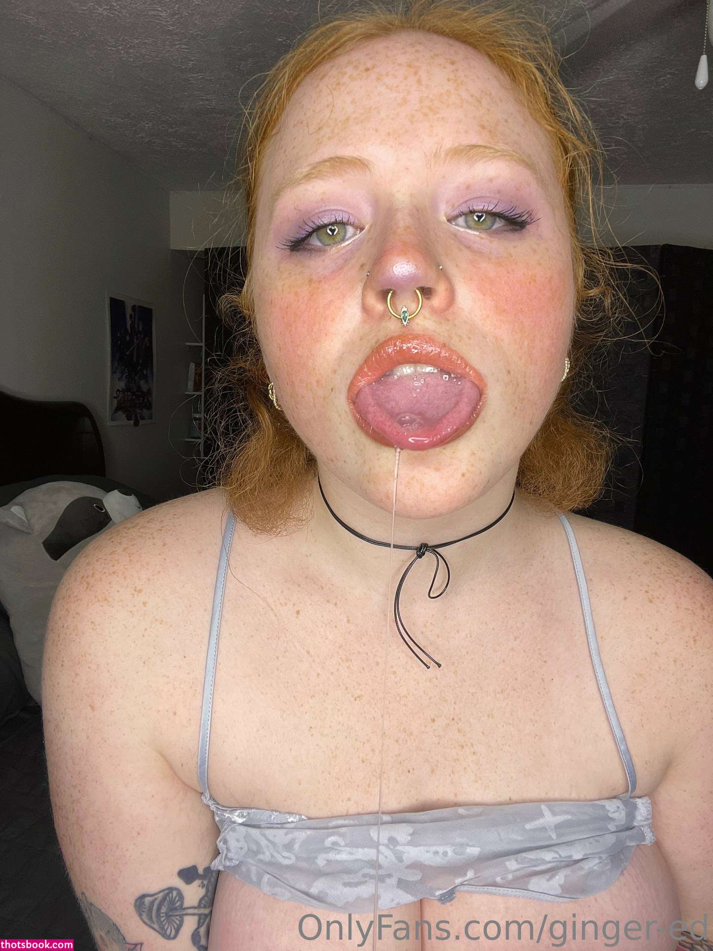 Bluetiernen Photo #33