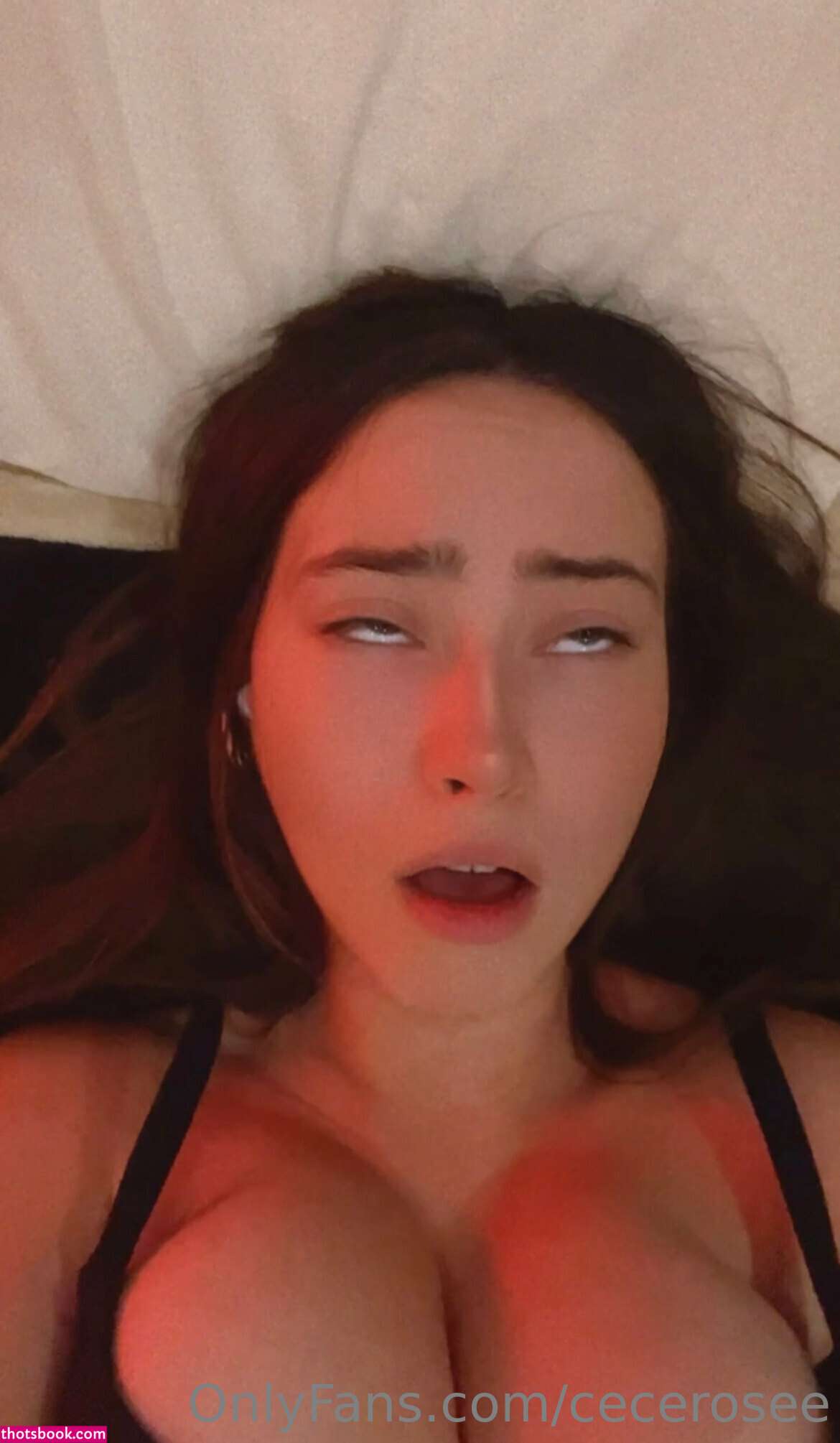 Cece Rose Photo #206