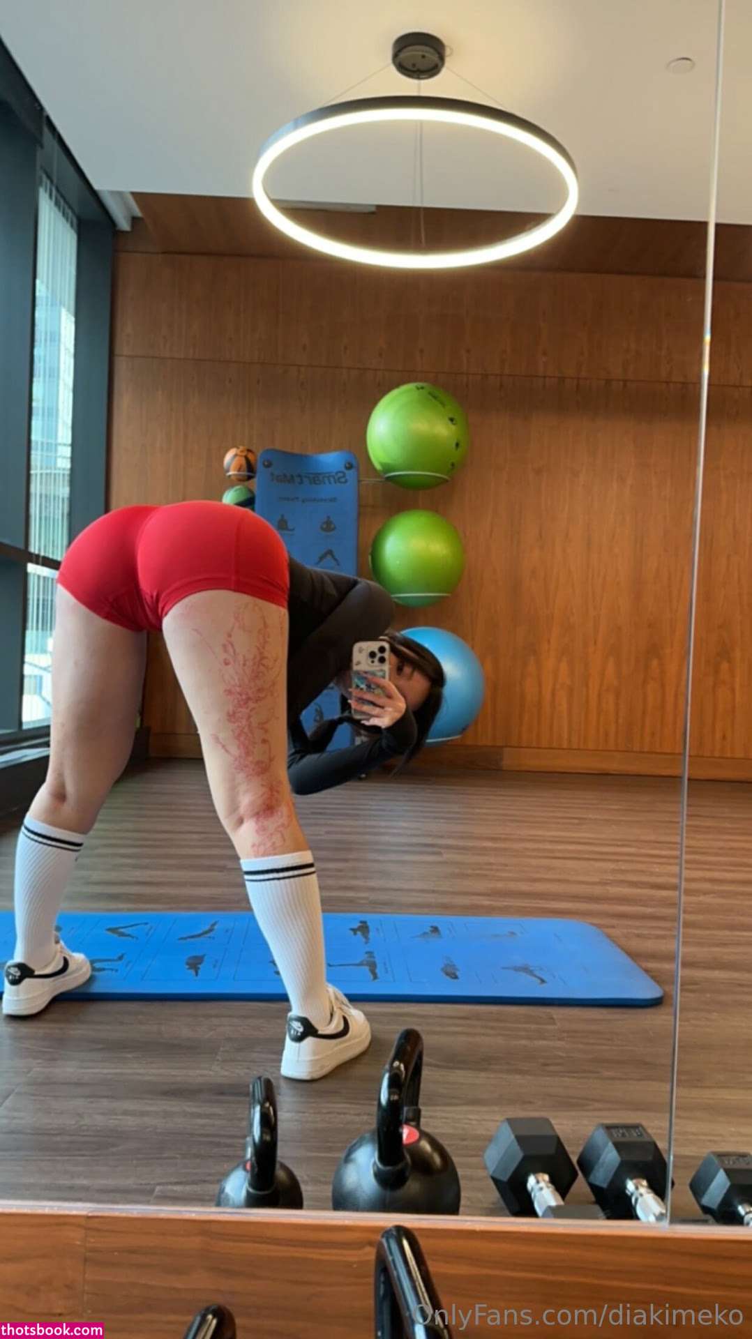 diakimeko Photo #115