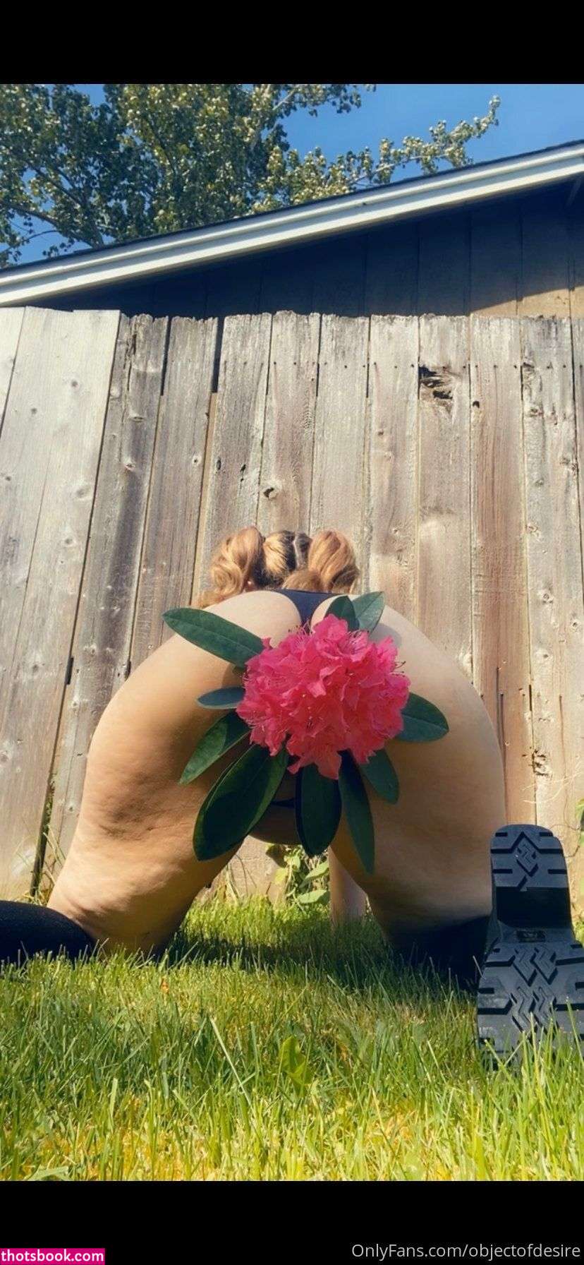 Meowingfromhell Photo #72