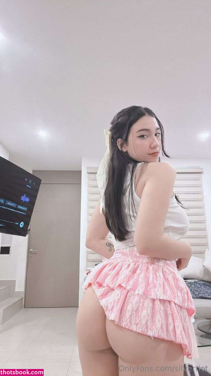 Silverriot Photo #61