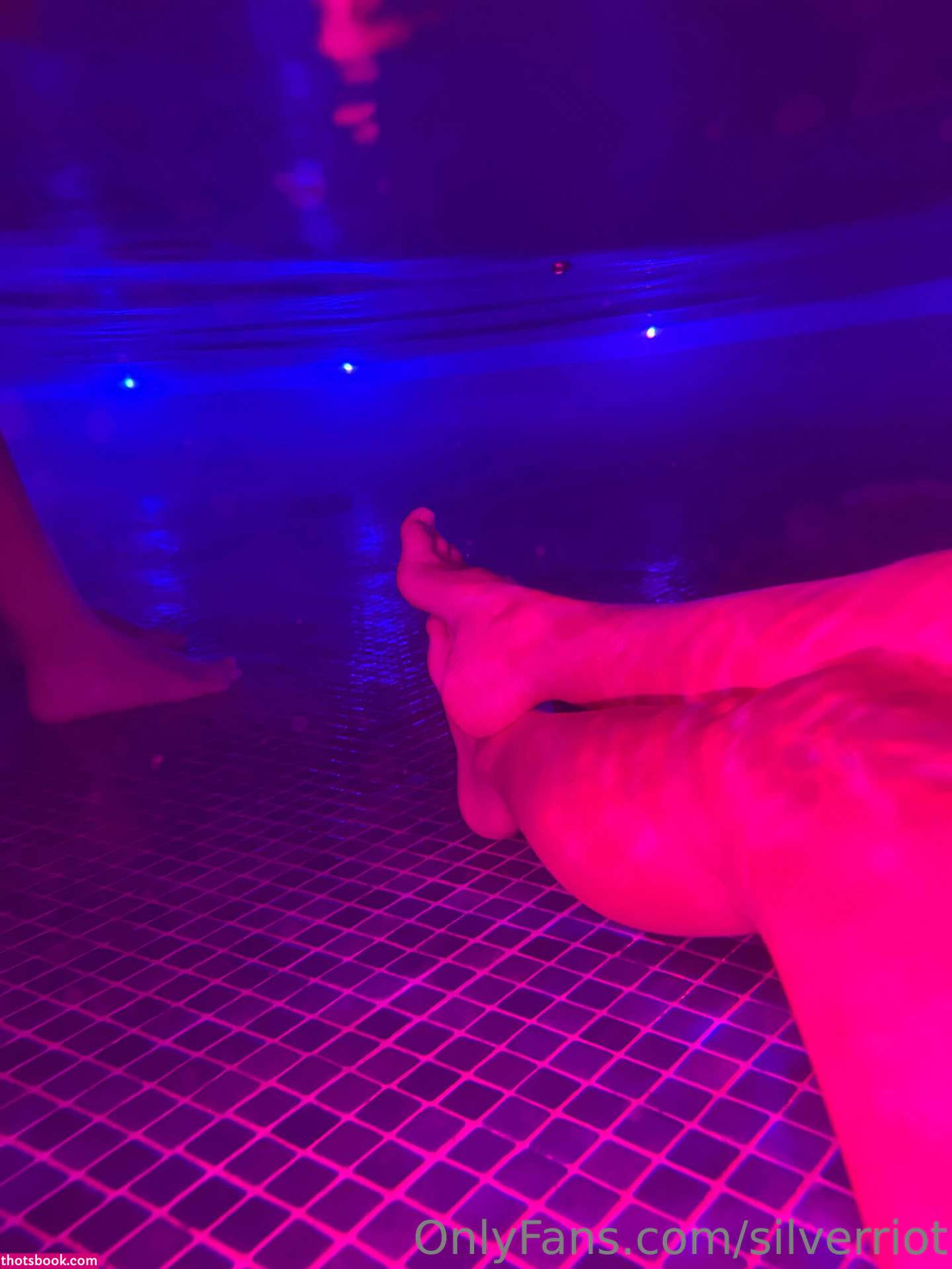 Silverriot Photo #125