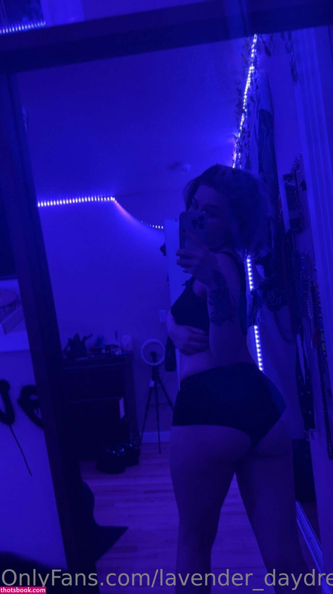 Lavender Daydream Photo #24