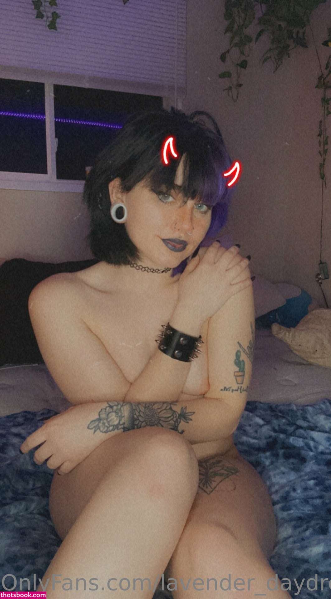 Lavender Daydream Photo #25