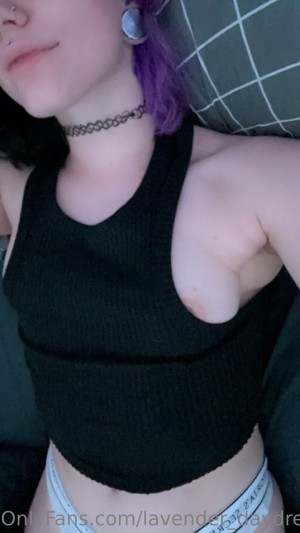 Lavender Daydream Photo #55