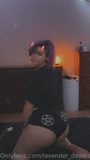 Lavender Daydream Photo #63