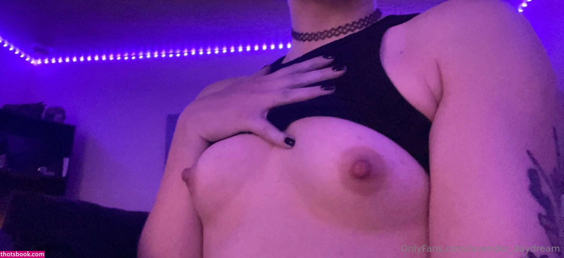 Lavender Daydream Photo #104