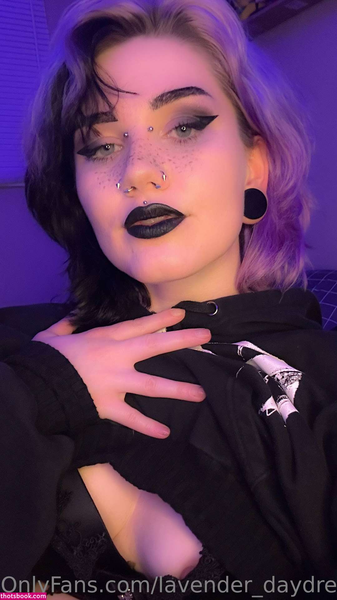 Lavender Daydream Photo #106