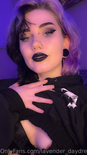 Lavender Daydream Photo #106