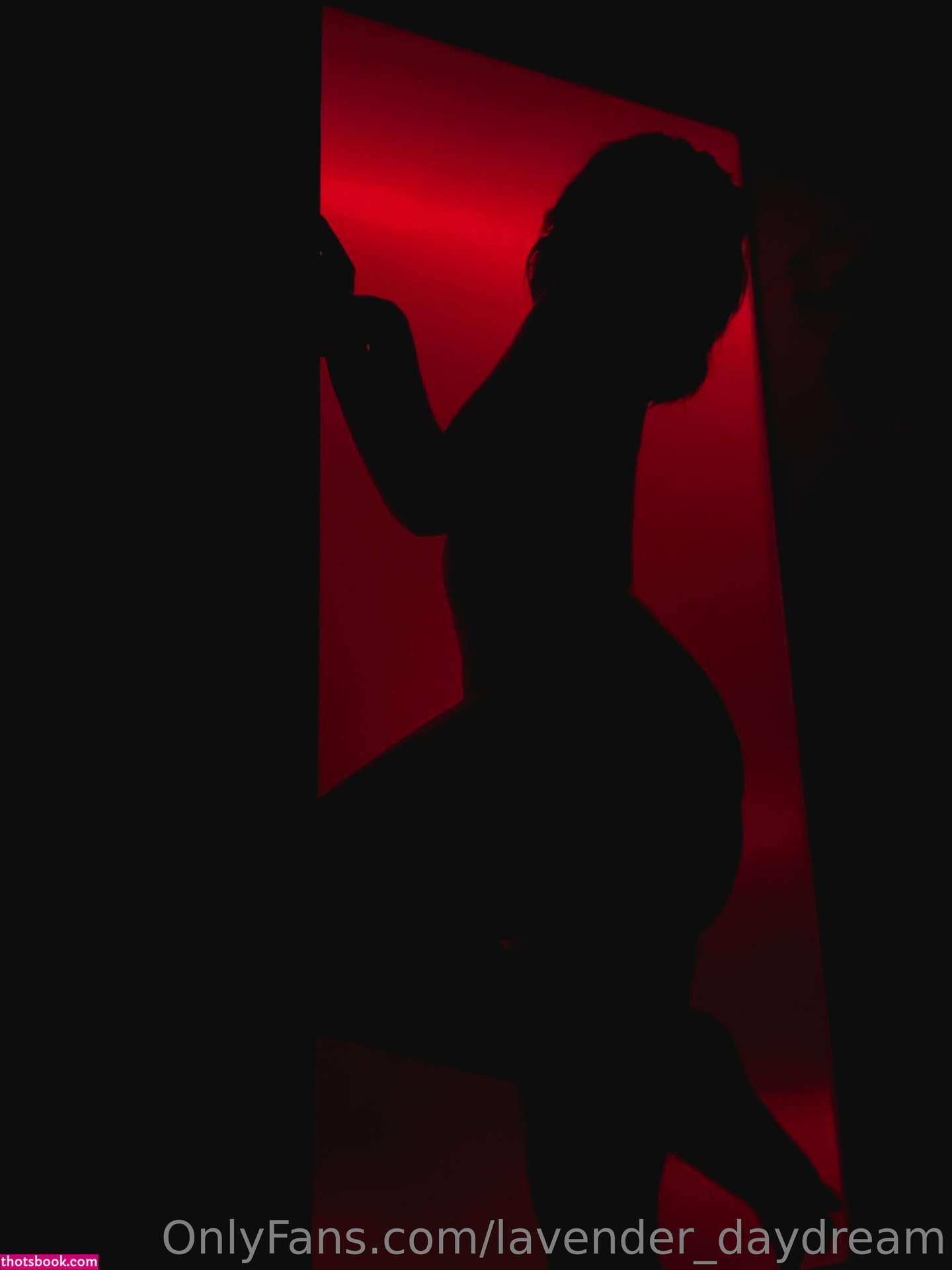 Lavender Daydream Photo #168