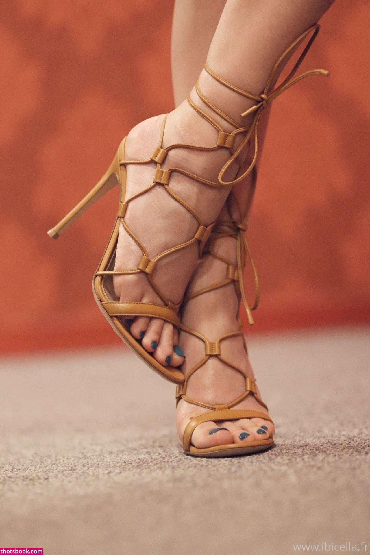 Ibicella Fr Photo #11