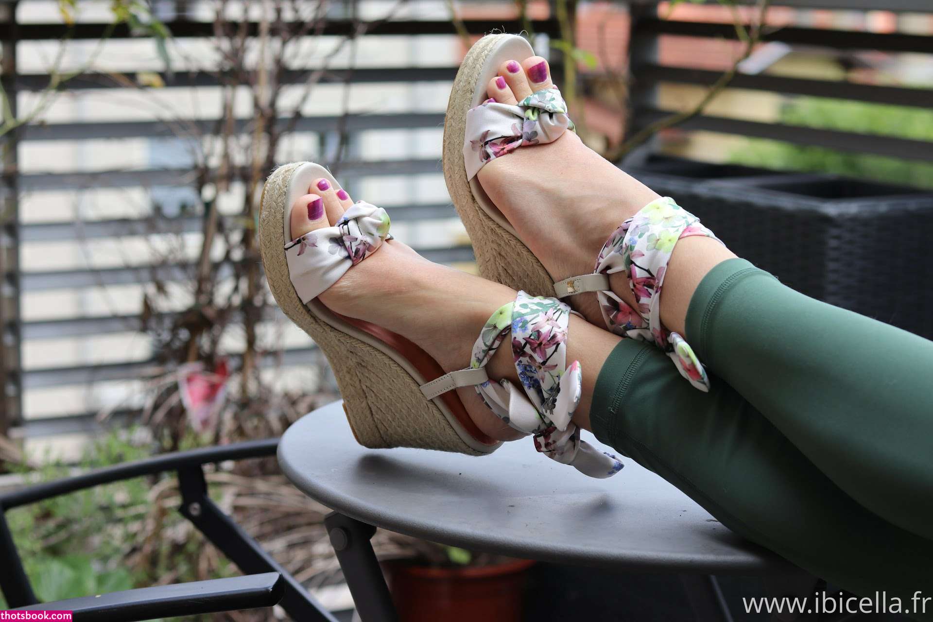 Ibicella Fr Photo #22