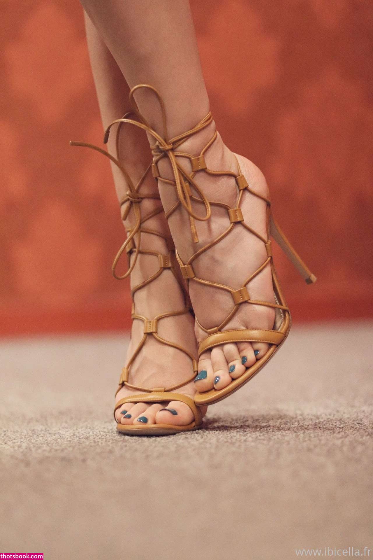 Ibicella Fr Photo #35