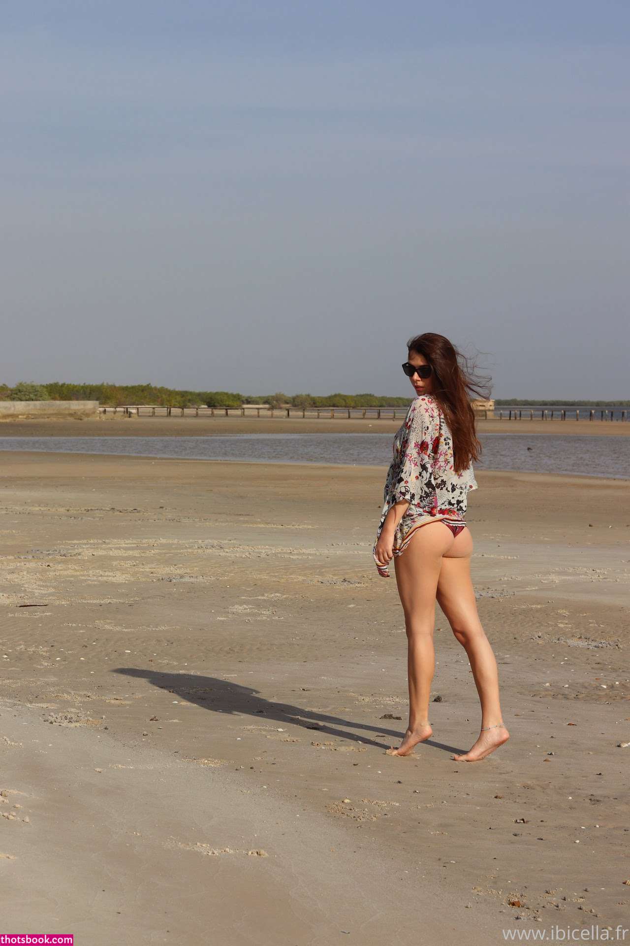 Ibicella Fr Photo #97