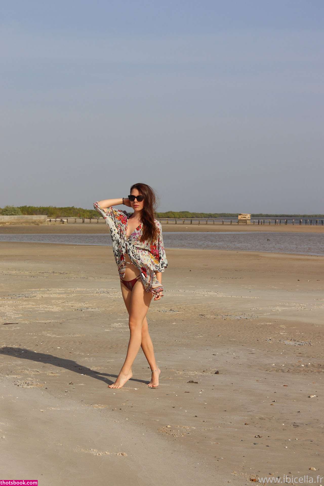 Ibicella Fr Photo #99