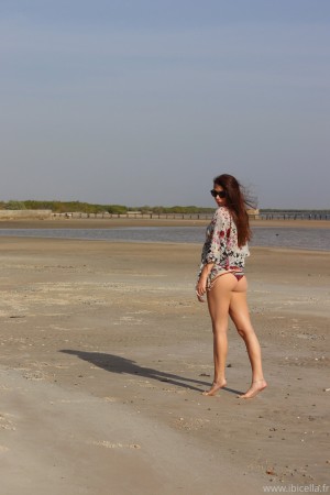 Ibicella Fr Photo #97