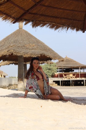 Ibicella Fr Photo #100